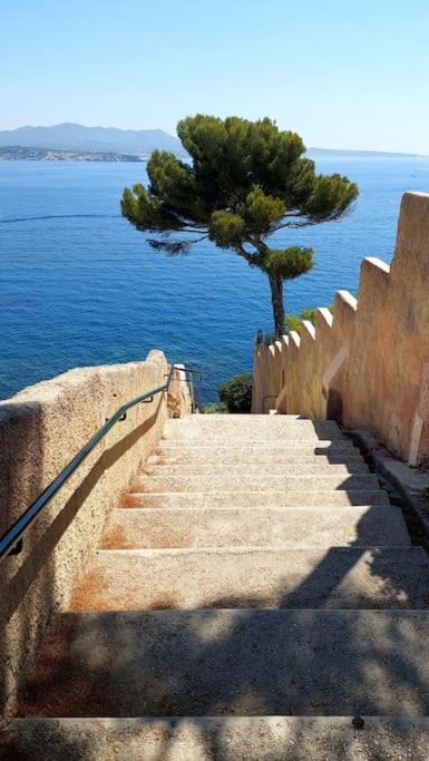 Front De Mer - Emplacement Prise Au Calme - T2 Moderne Et Entierement Climatise - Tout A Pieds ซานารี-ซูร์-แมร์ ภายนอก รูปภาพ